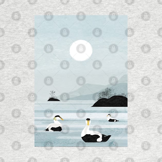 Eider Ducks by KatherineBlowerDesigns